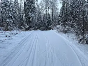 Trail Update December 11, 2024